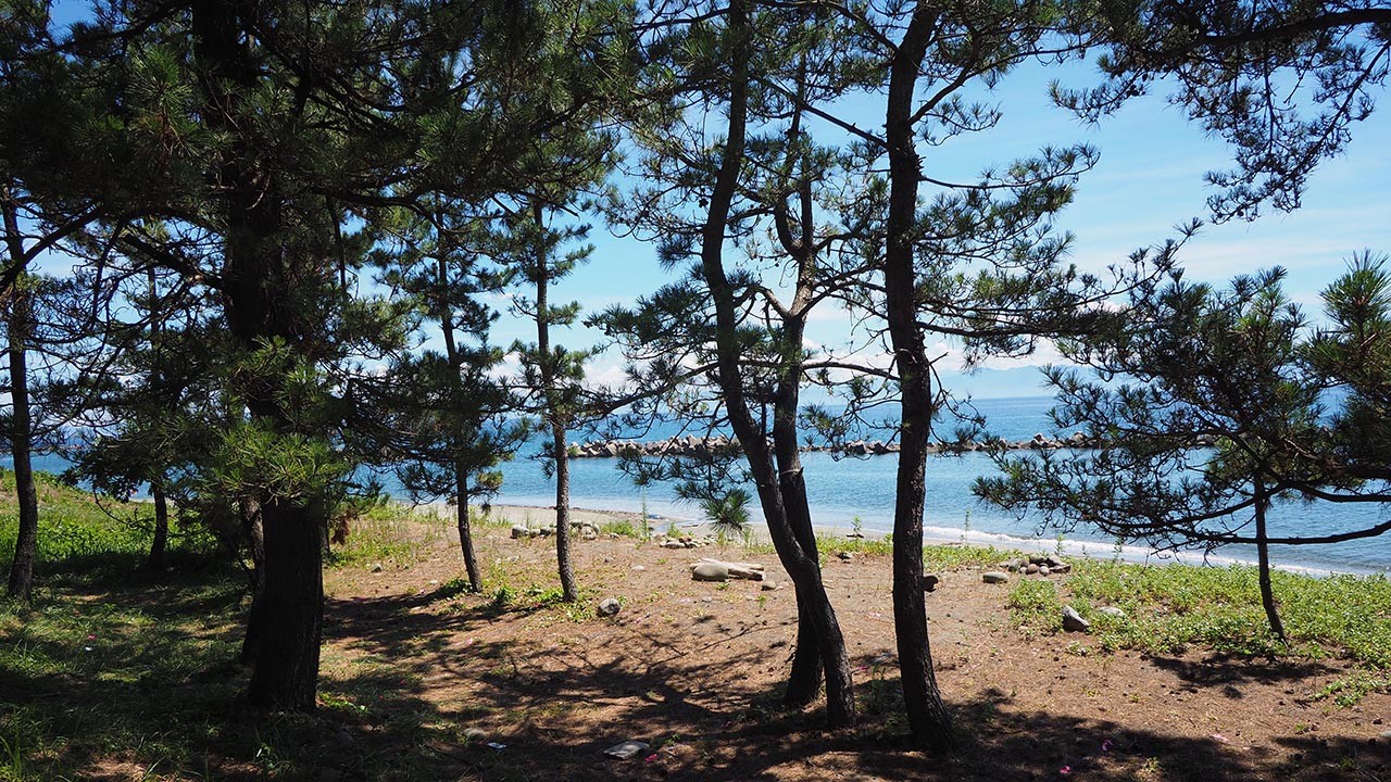 内浦キャンプ場