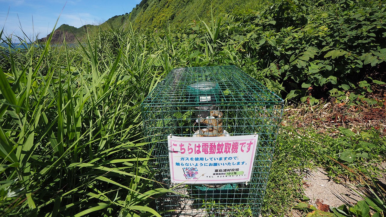 釜谷キャンプ場