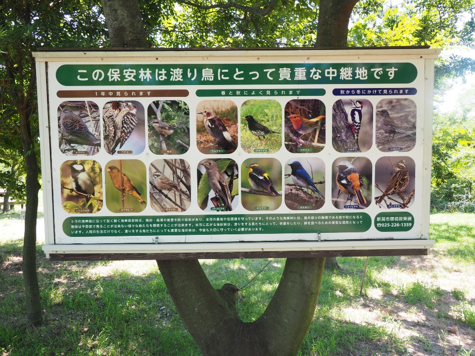 海辺の森キャンプ場