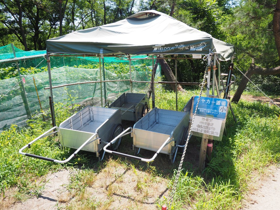海辺の森キャンプ場