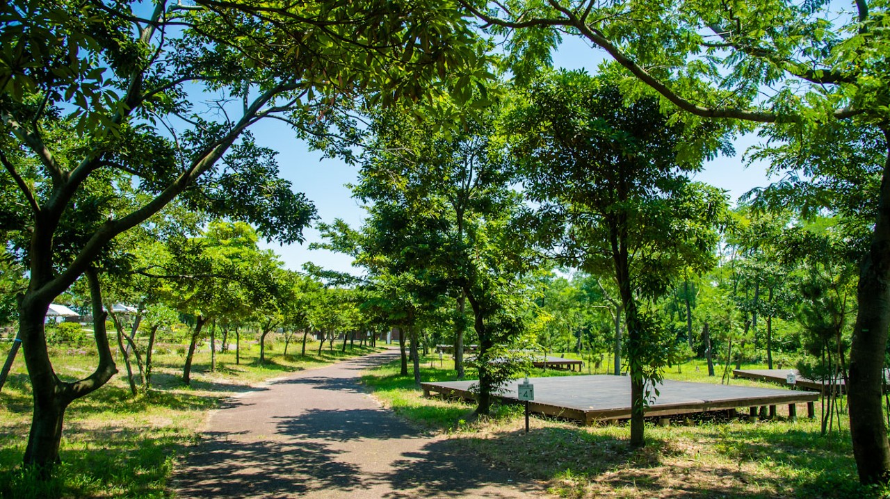 海辺の森キャンプ場