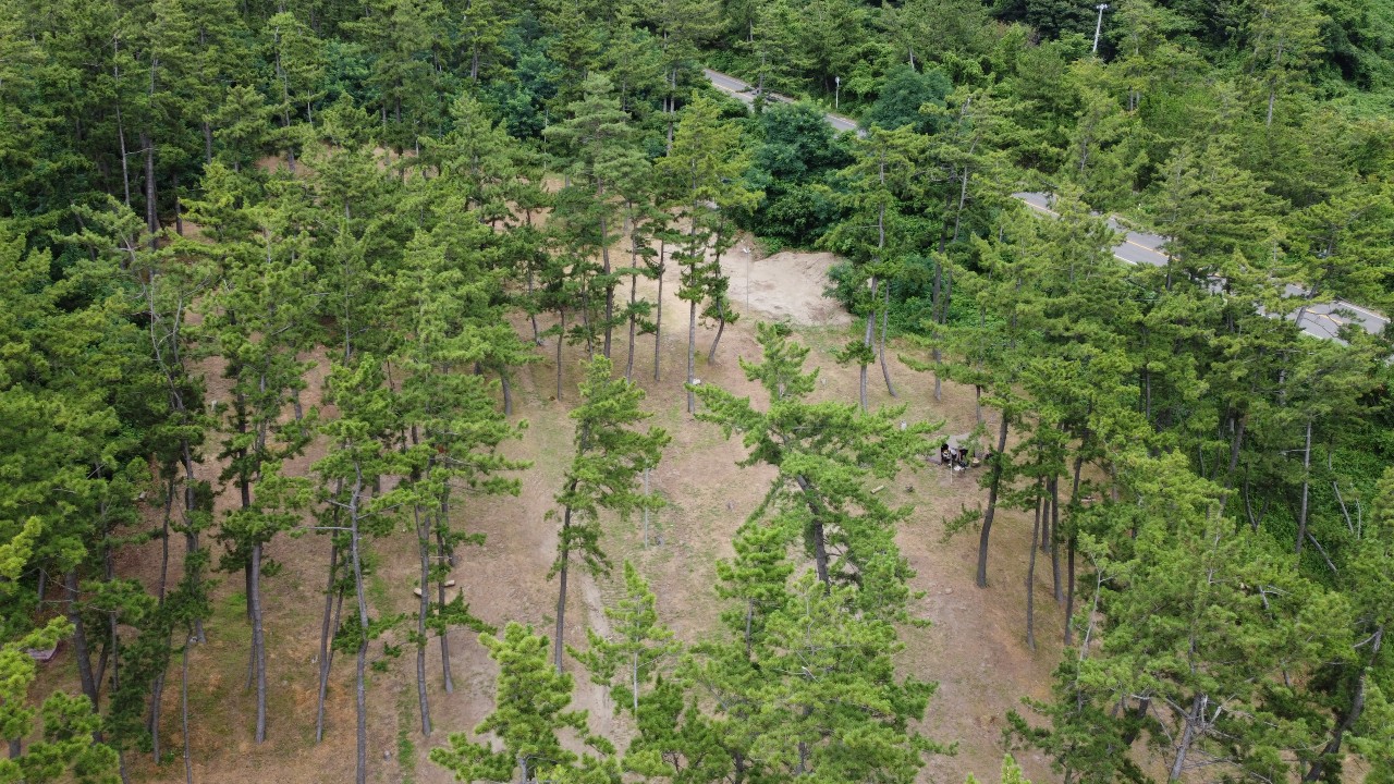 角田浜キャンプ場