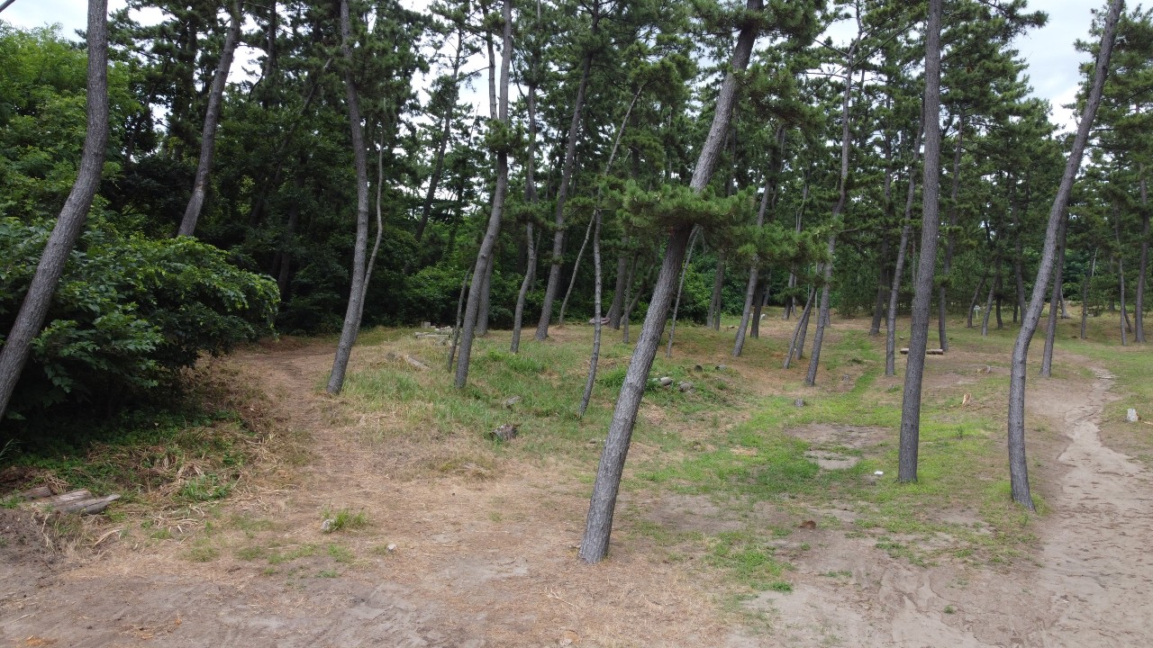 角田浜キャンプ場
