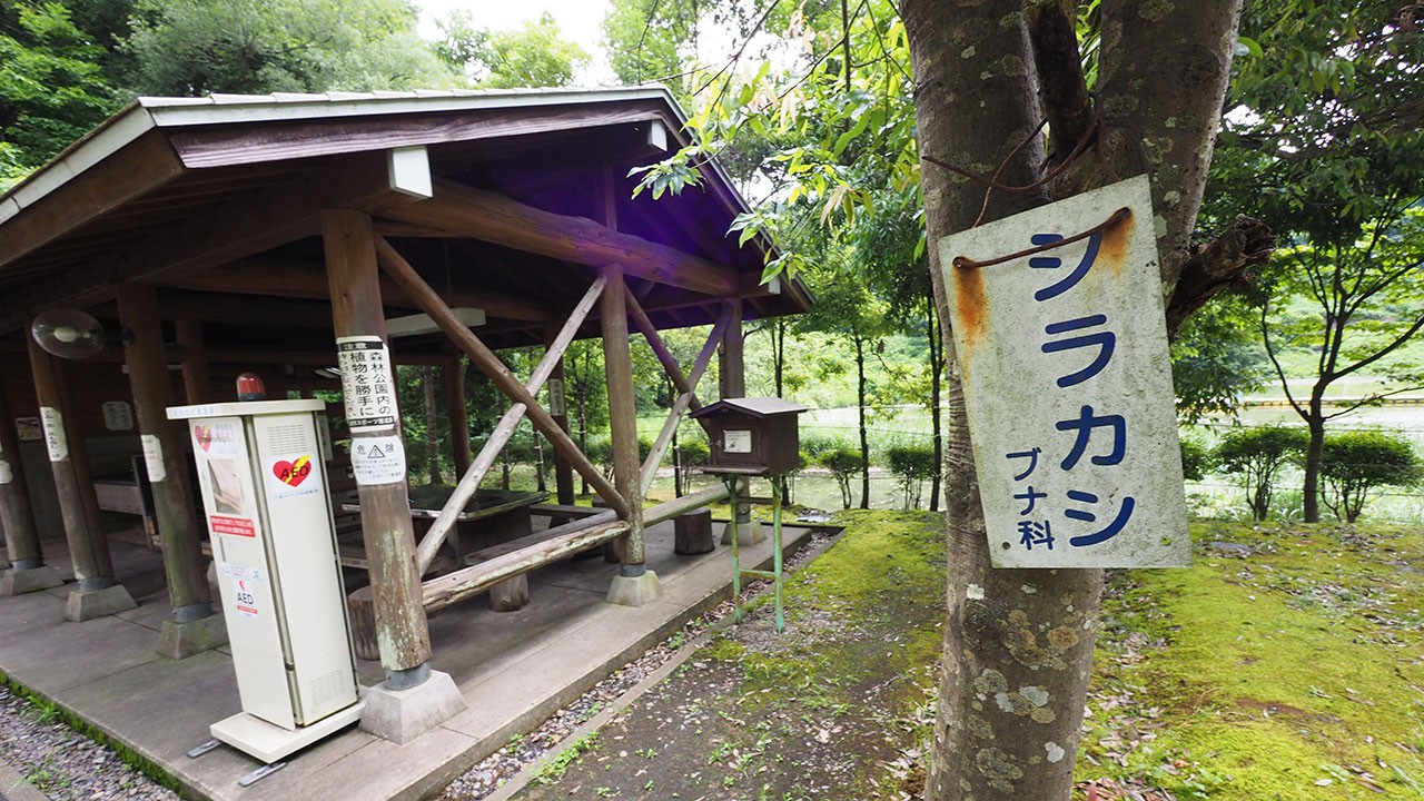五泉市森林公園キャンプ場