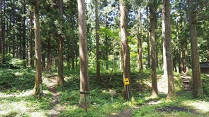 剣龍峡キャンプ場