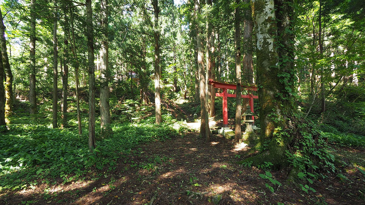 新発田市滝谷森林公園