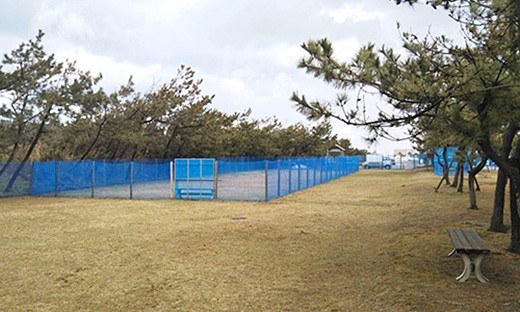 SHIUN CAMP FIELD(紫雲寺記念公園オートキャンプ場)