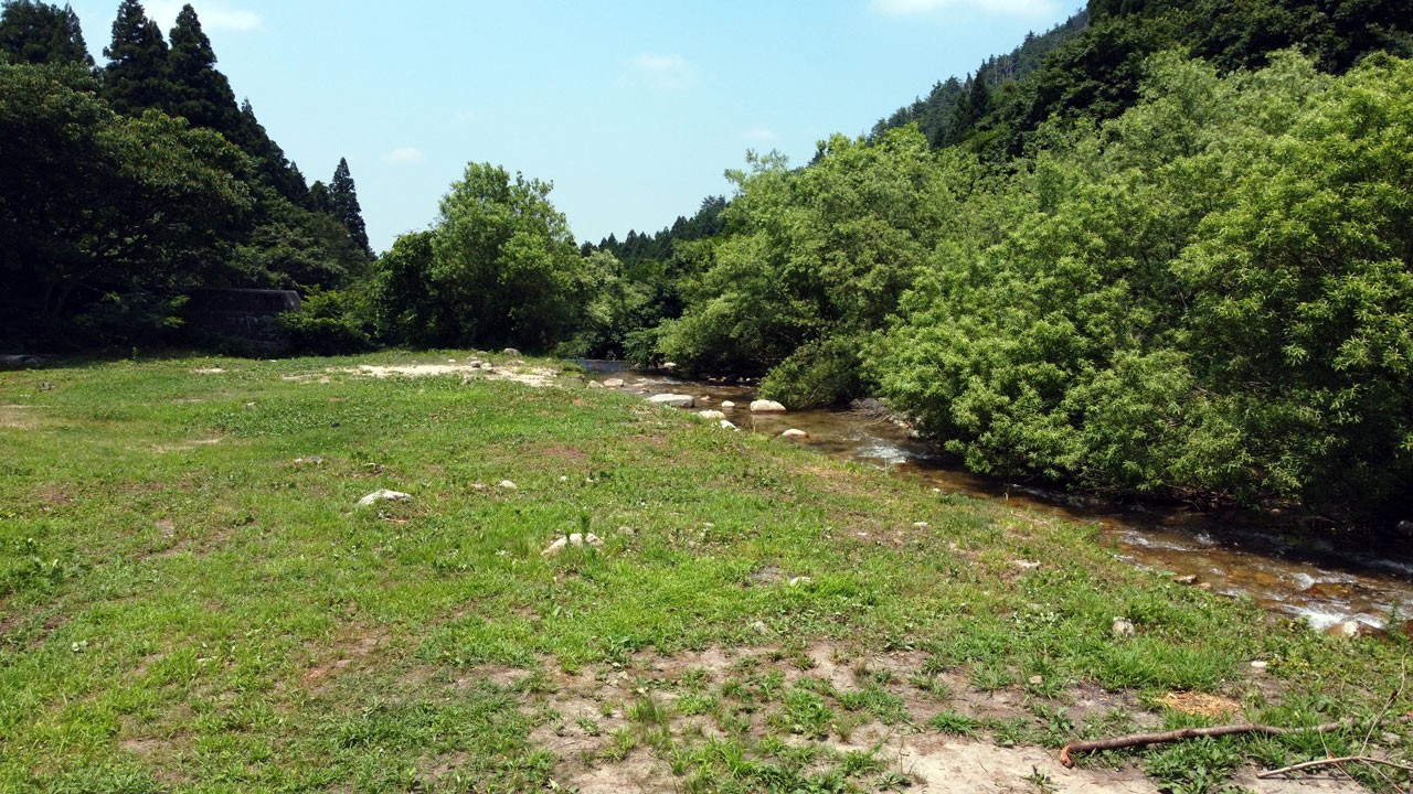 奥村杉キャンプ場