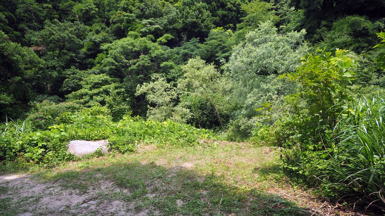奥村杉キャンプ場