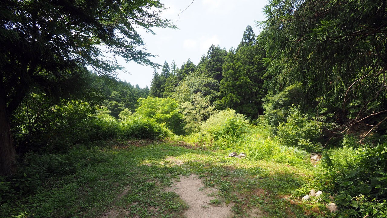 奥村杉キャンプ場