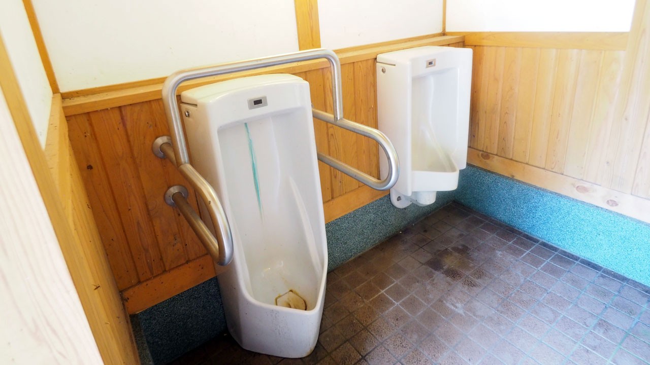 奥村杉キャンプ場