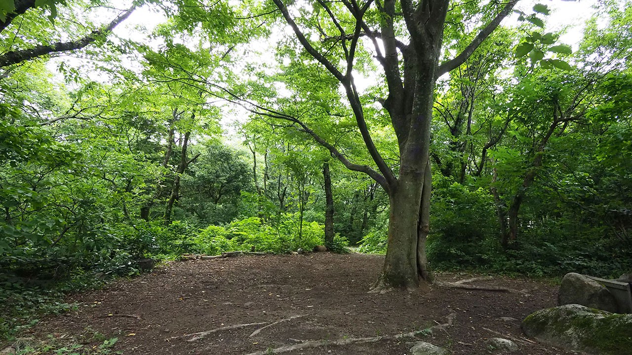 五頭山麓いこいの森キャンプ場