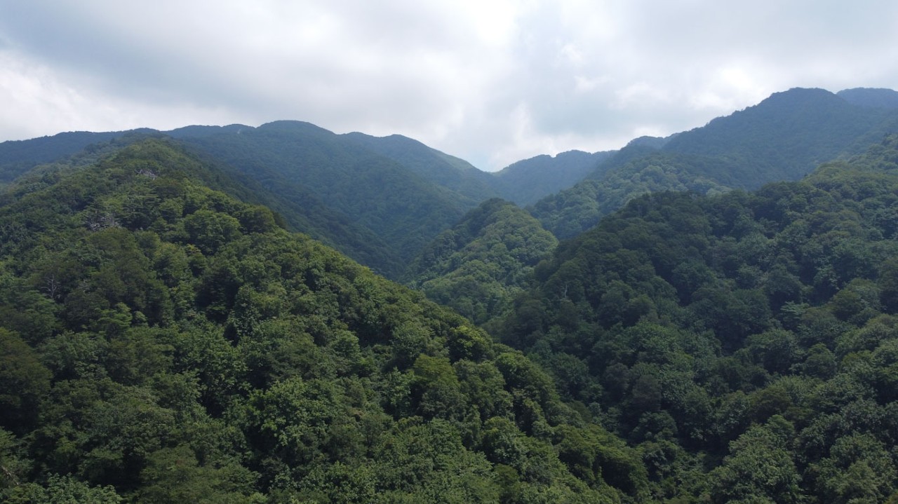 どんぐりの森キャンプ場