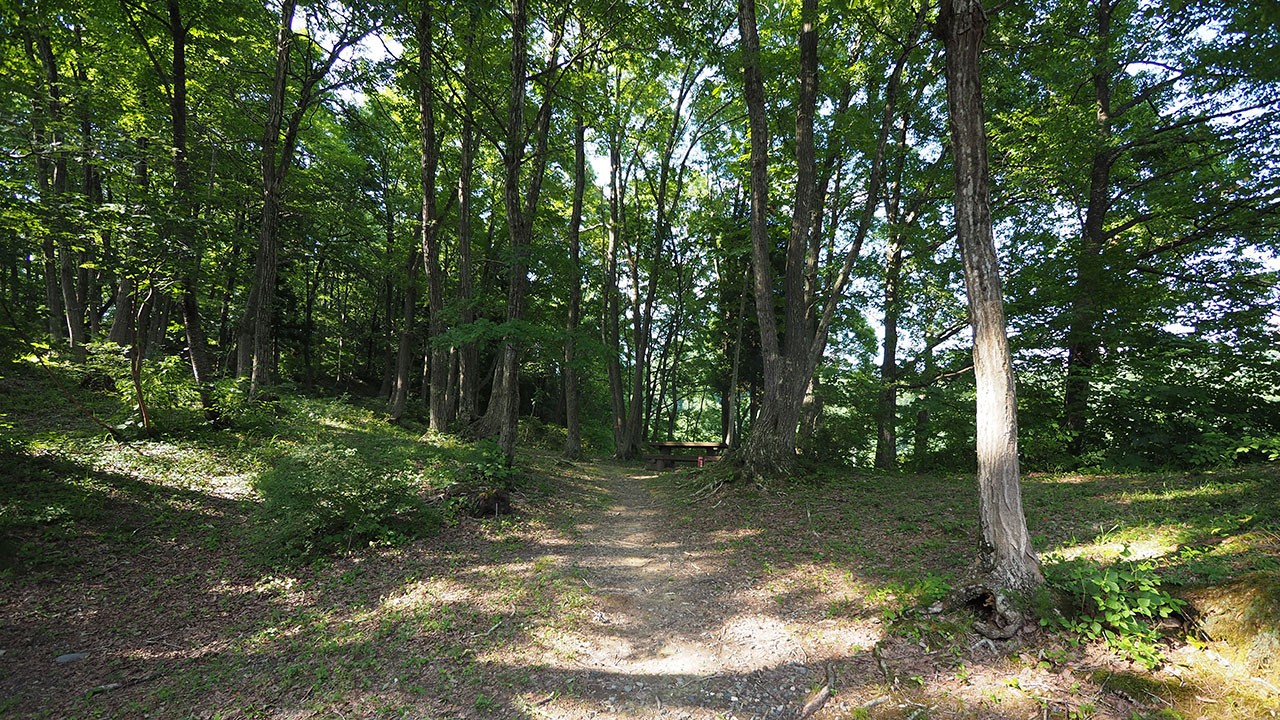 中ノ沢渓谷森林公園