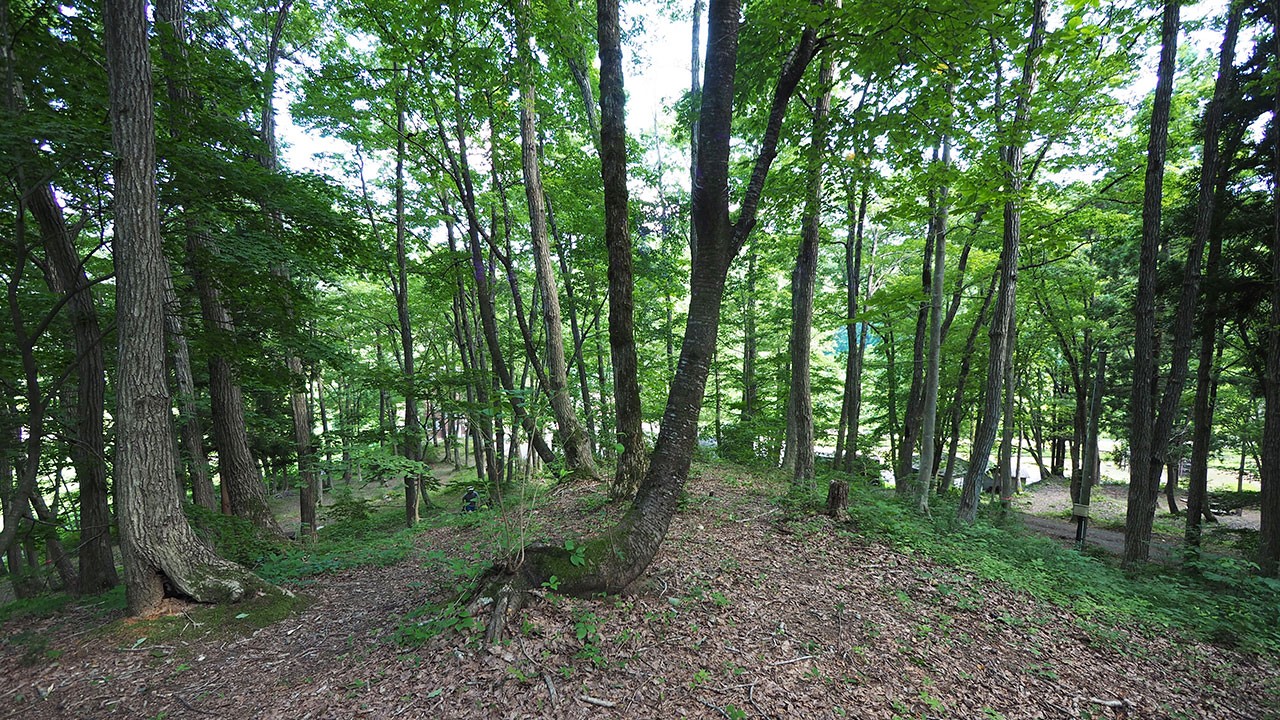 中ノ沢渓谷森林公園