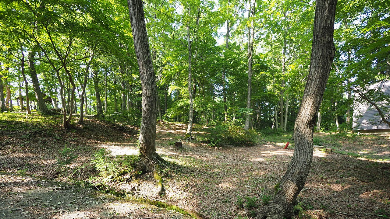 中ノ沢渓谷森林公園