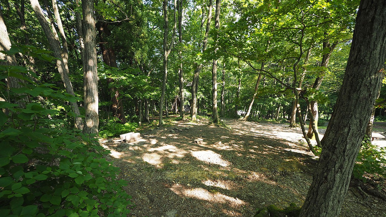 中ノ沢渓谷森林公園