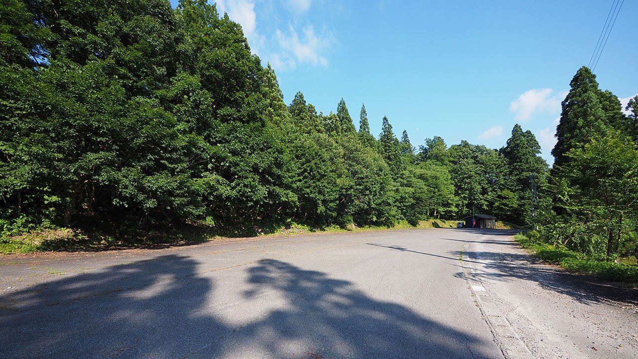 中ノ沢渓谷森林公園