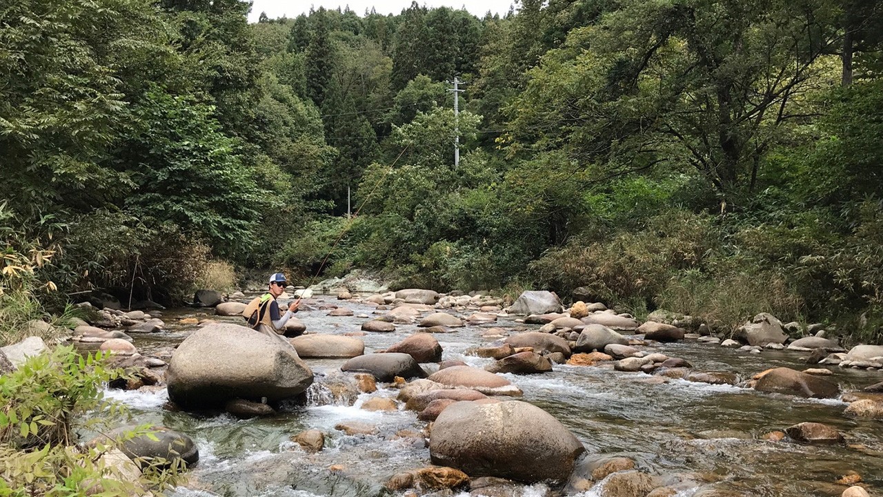 中ノ沢渓谷森林公園