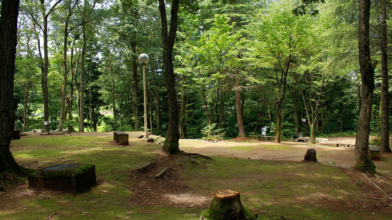 三条市グリーンスポーツセンター・大崎山公園