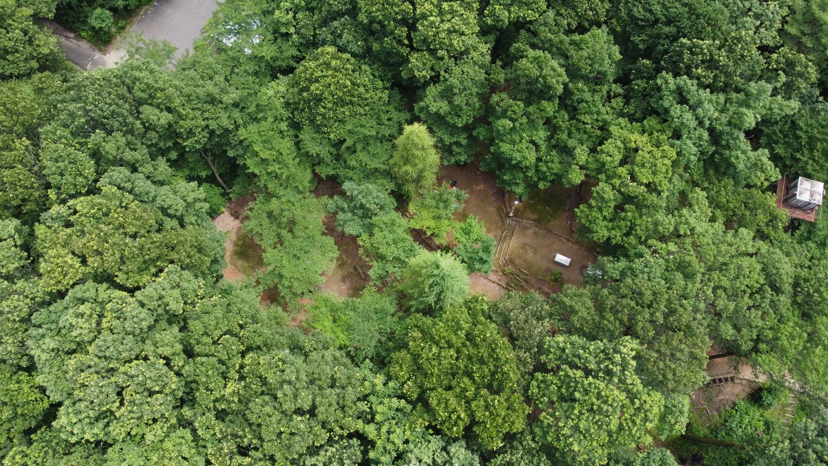 三条市グリーンスポーツセンター・大崎山公園 場内見取り図