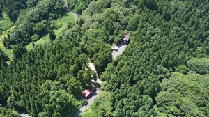 長岡市うまみち森林公園