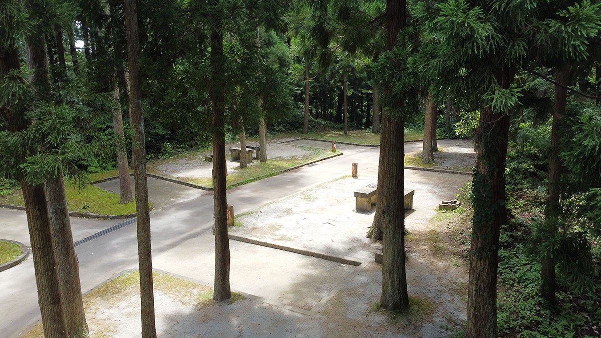 長岡市うまみち森林公園
