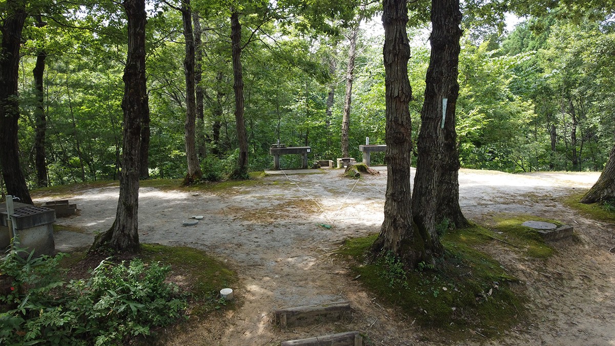 長岡市うまみち森林公園