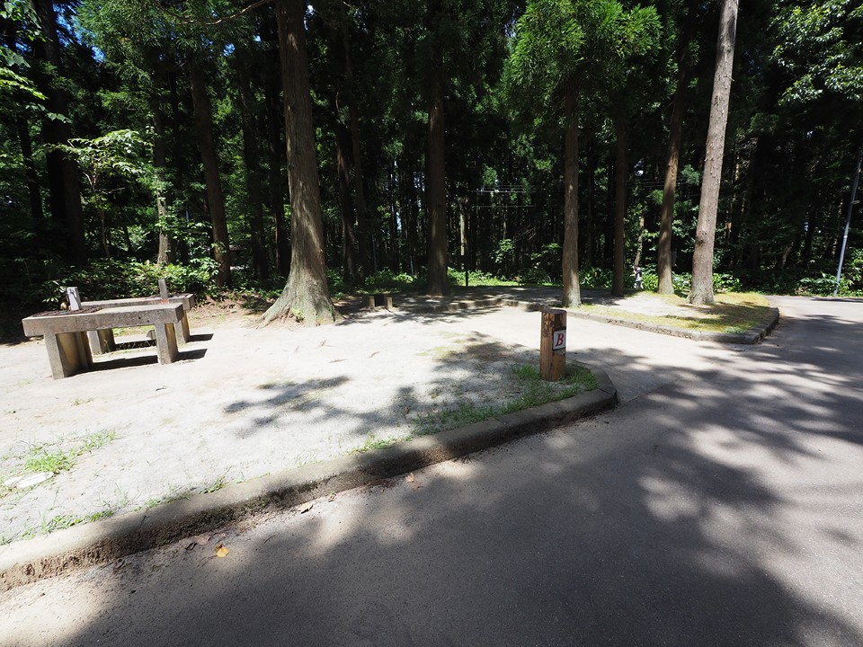 長岡市うまみち森林公園