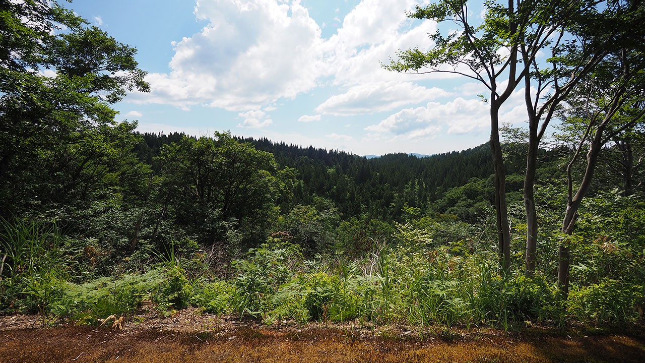 道院高原キャンプ場