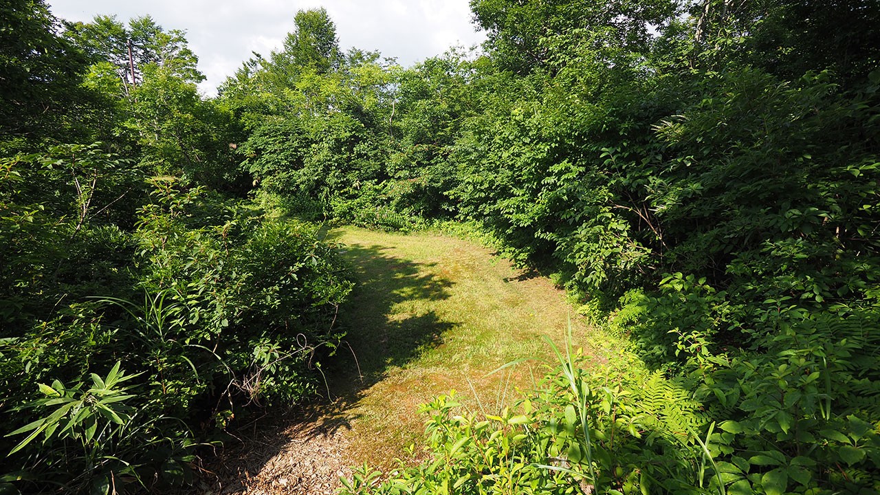 道院高原キャンプ場