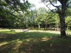 桝形山自然公園