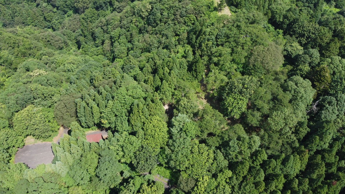 桝形山自然公園 場内見取り図