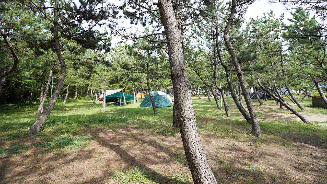 窪田キャンプ場