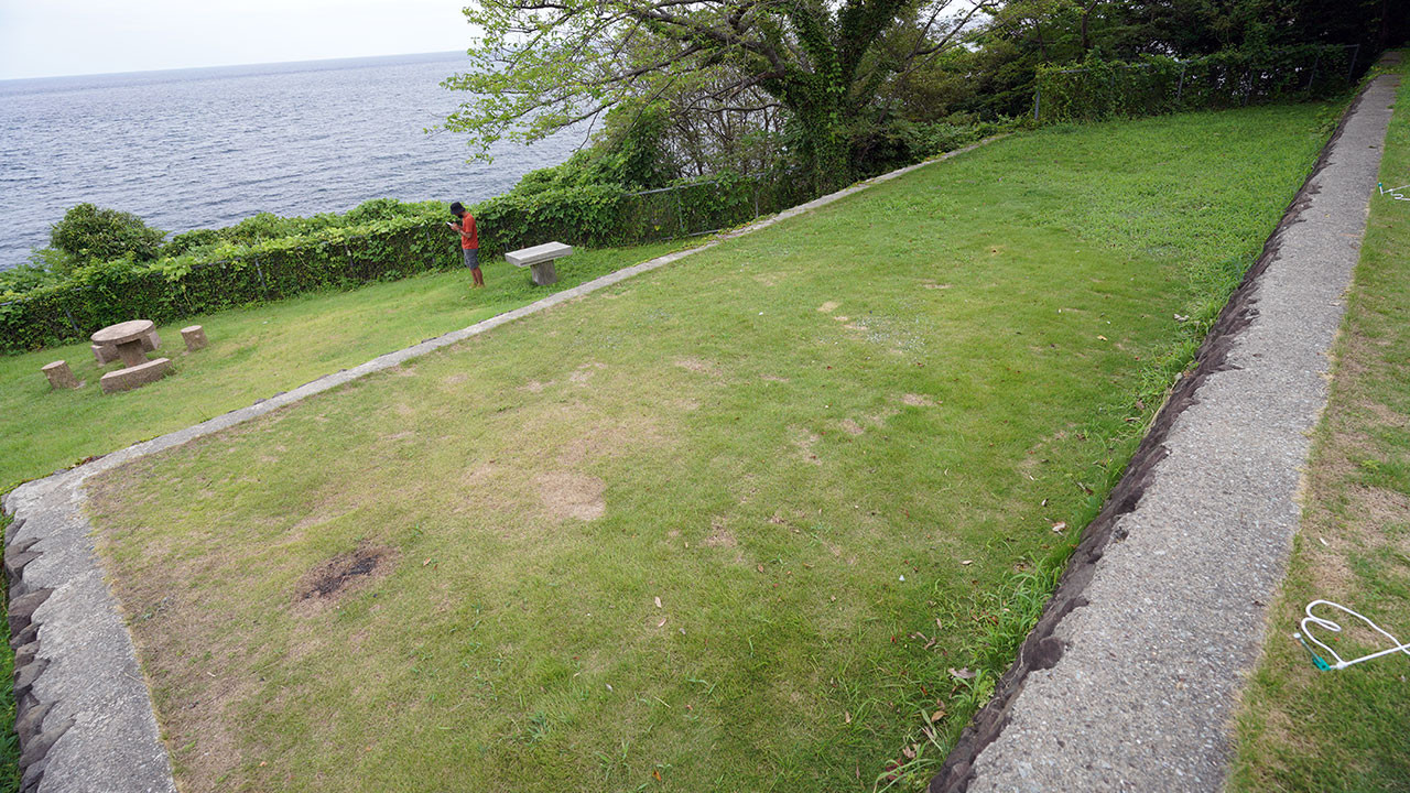 姫崎キャンプ場