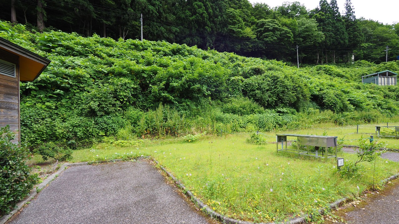 二子島森林公園キャンプ場
