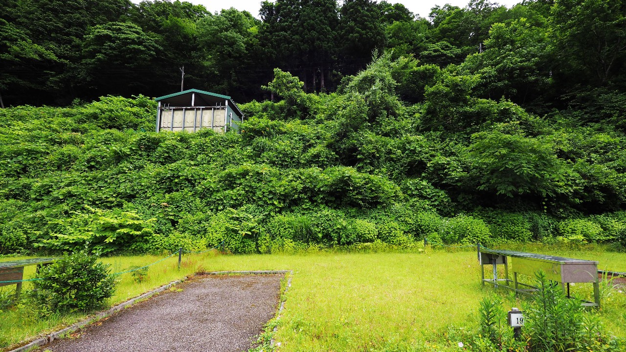 二子島森林公園キャンプ場