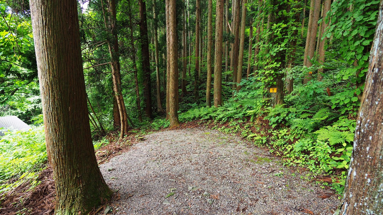 二子島森林公園キャンプ場