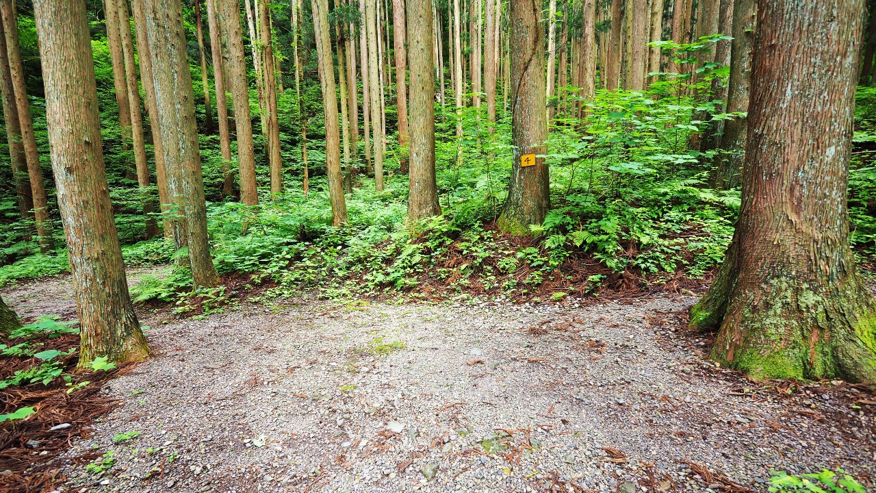 二子島森林公園キャンプ場