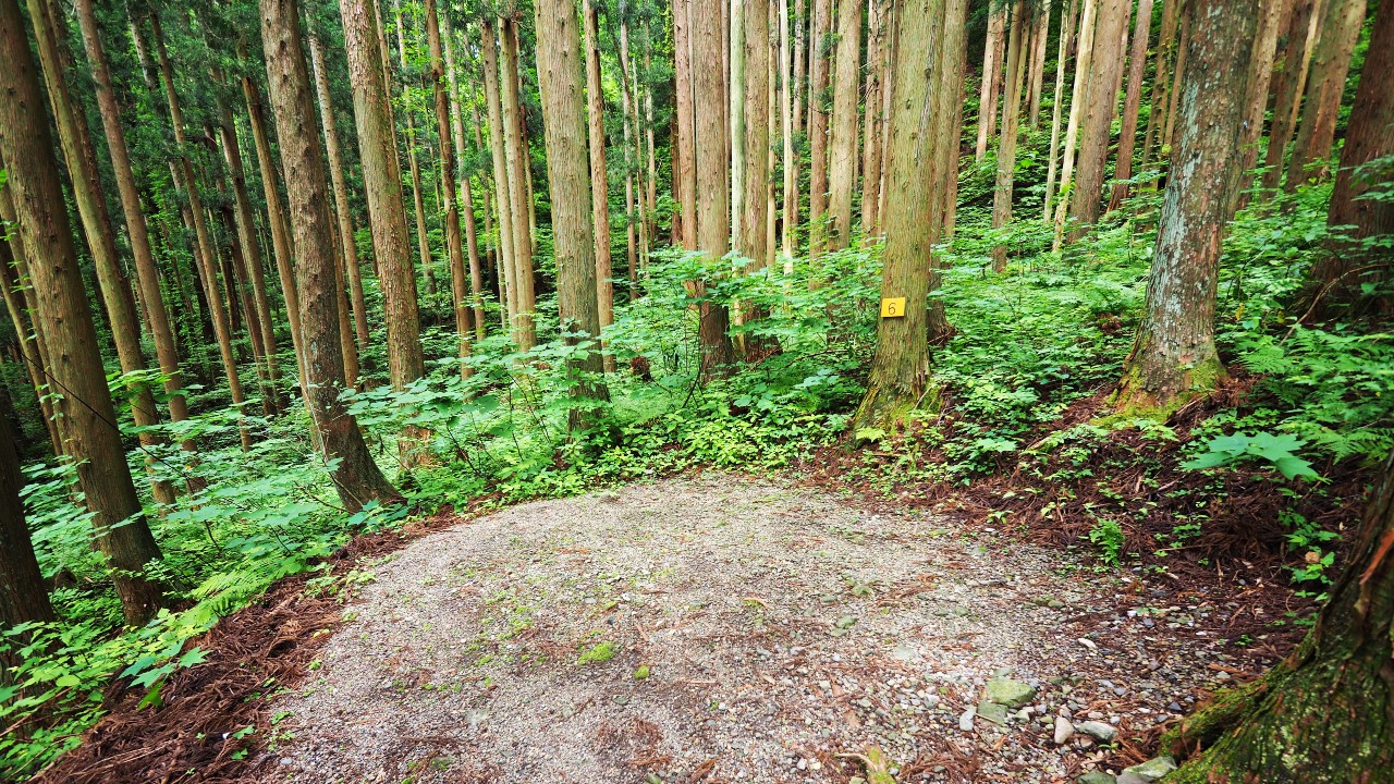 二子島森林公園キャンプ場