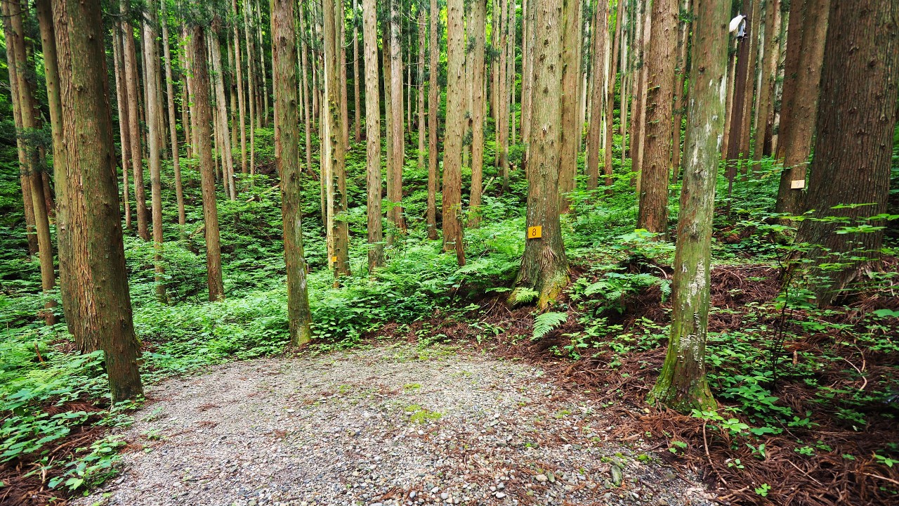 二子島森林公園キャンプ場