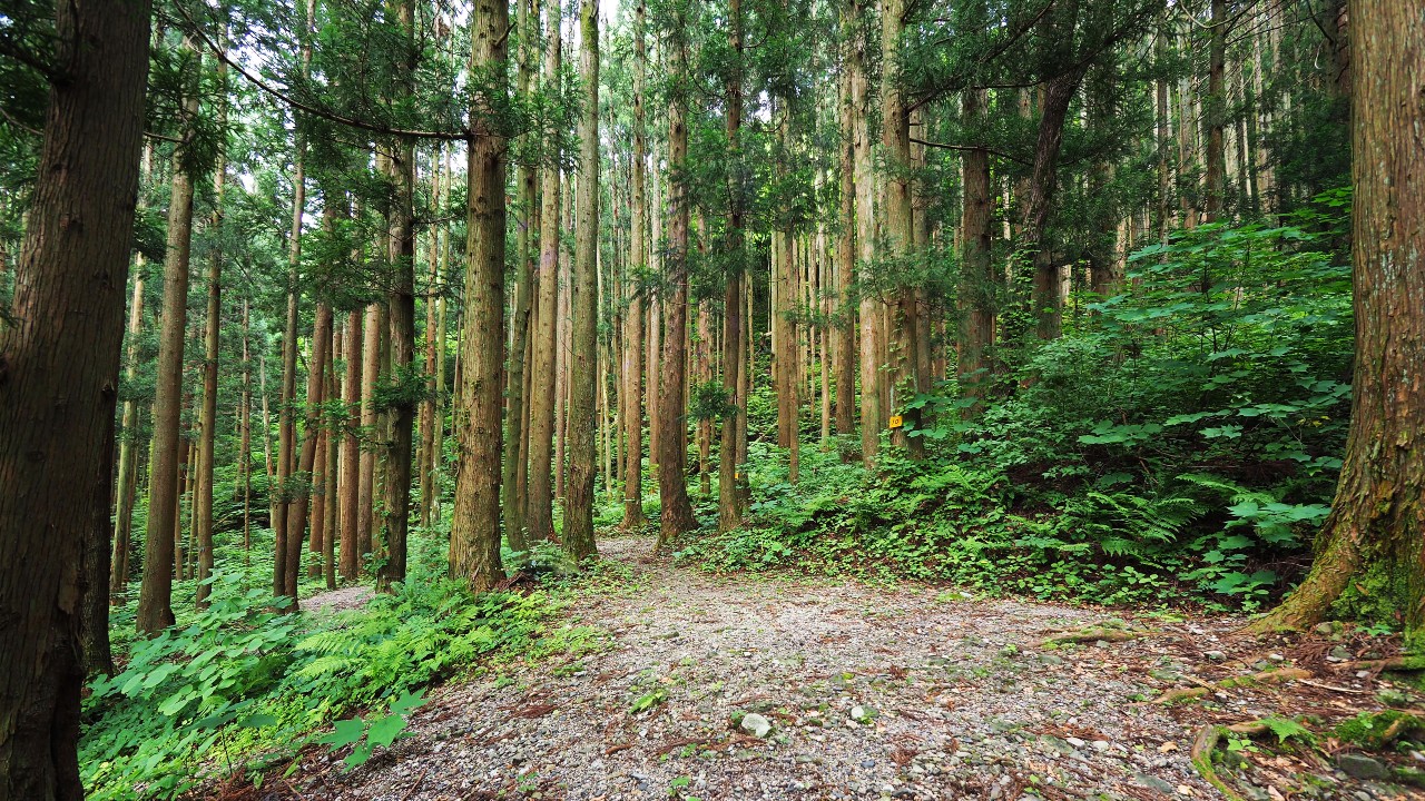 二子島森林公園キャンプ場