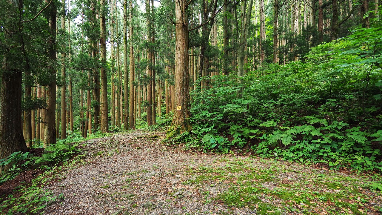 二子島森林公園キャンプ場