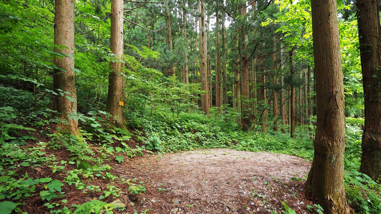 二子島森林公園キャンプ場