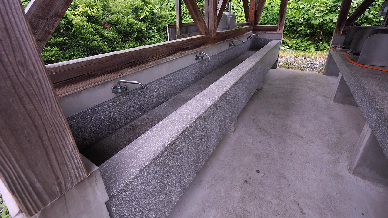 二子島森林公園キャンプ場