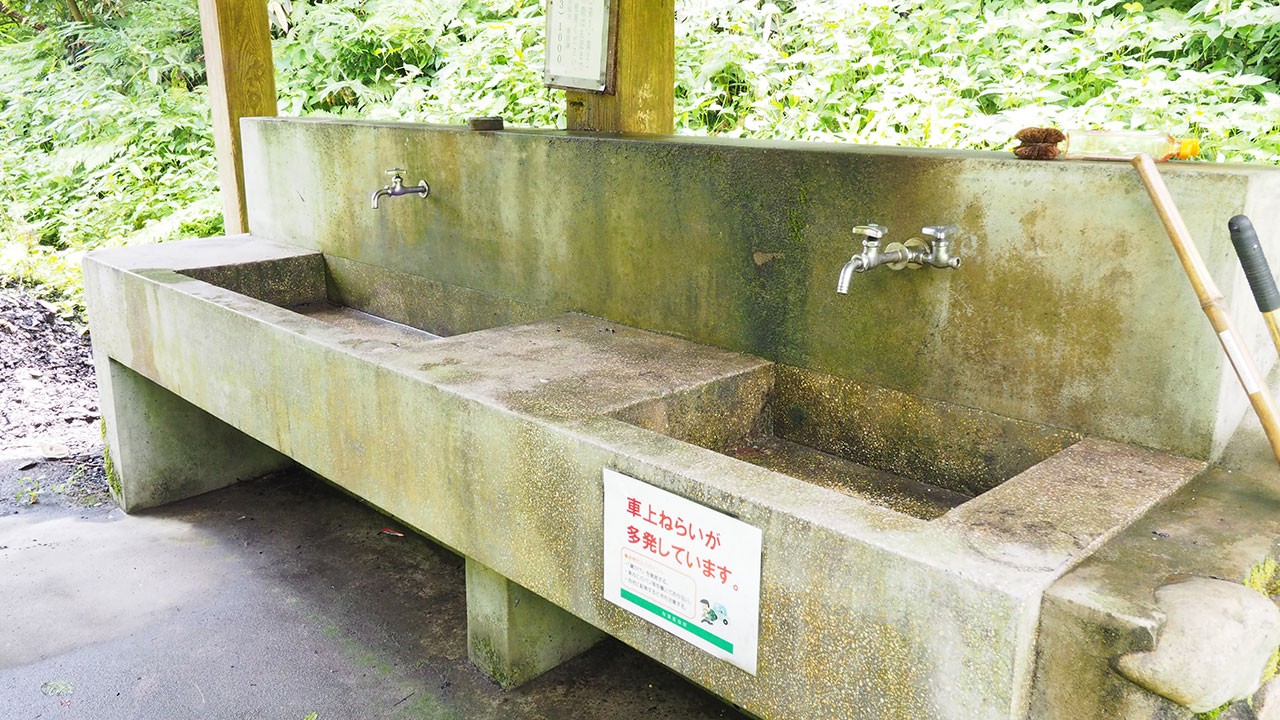 秋葉公園キャンプ場