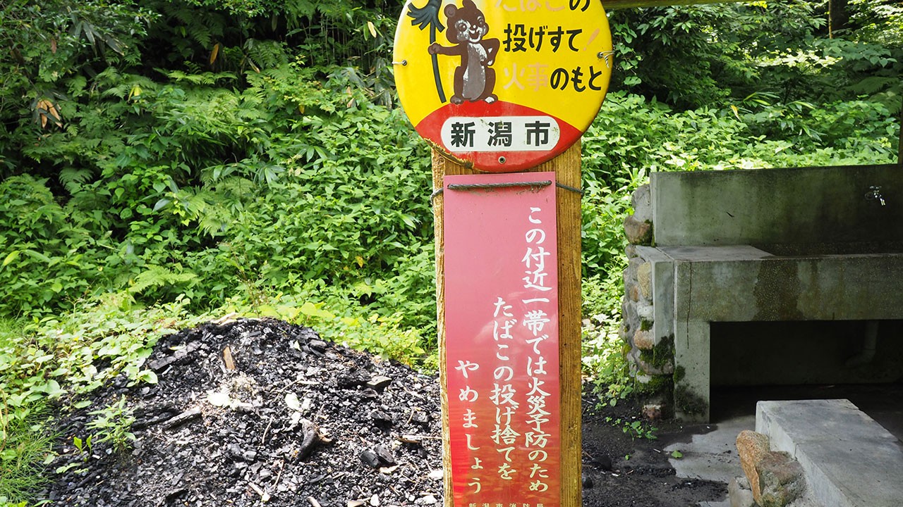 秋葉公園キャンプ場