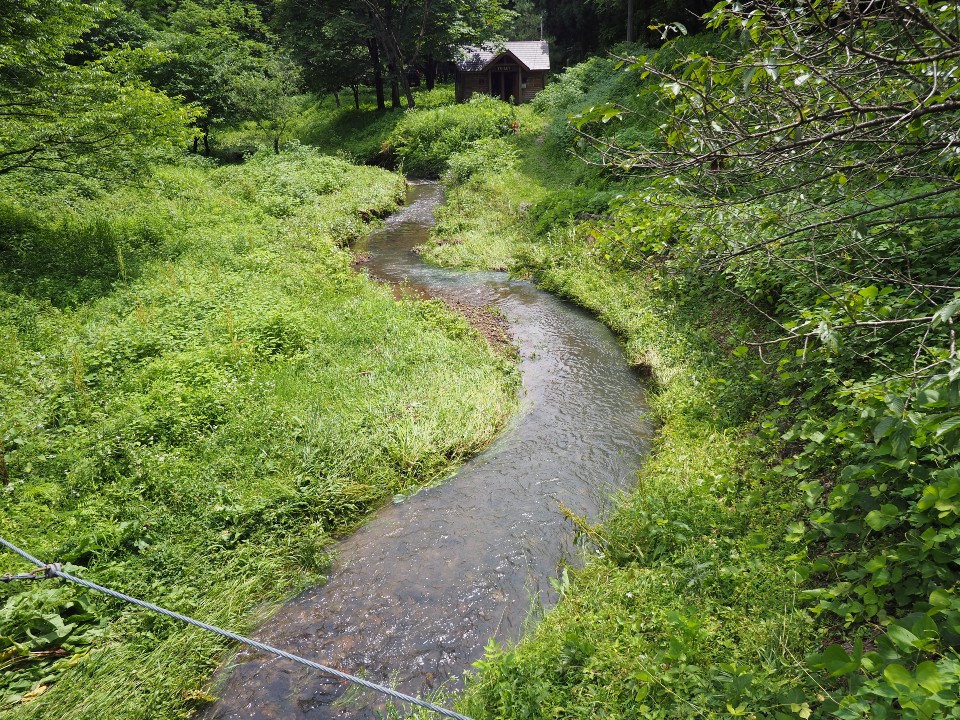 大沢森林公園キャンプ場