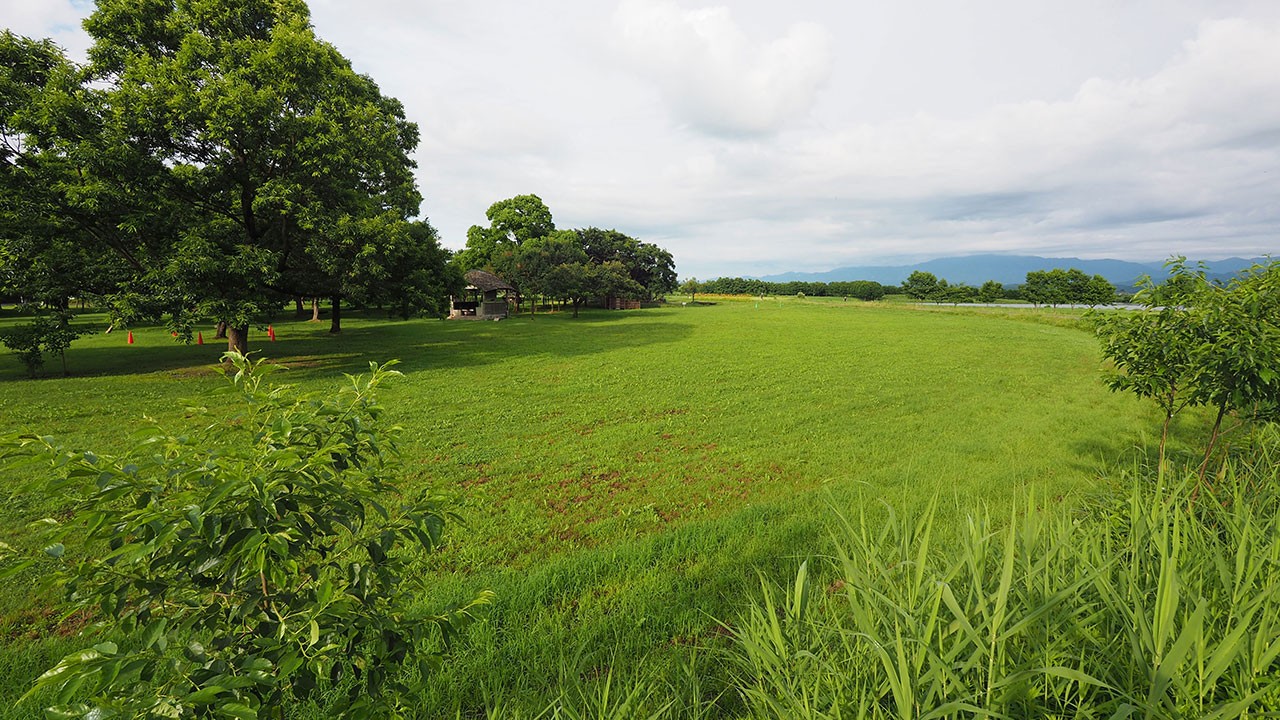 水の公園福島潟キャンプ場