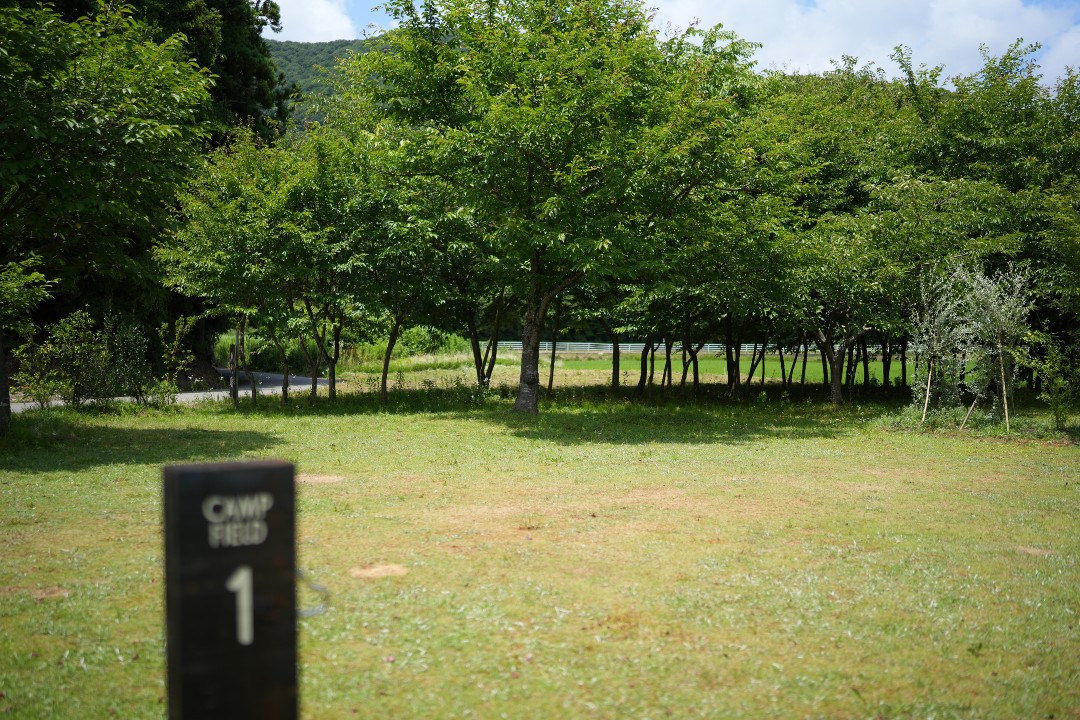 道の駅 SORAIRO国上 CAMP FIELD